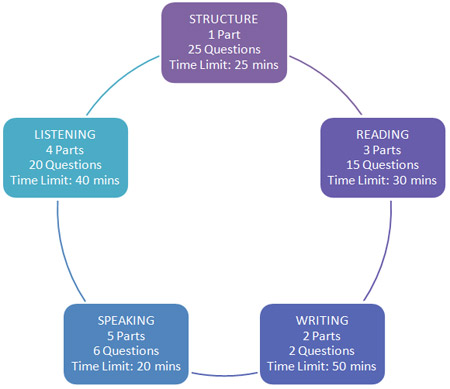 Structure of Phase 1 Martel Standard